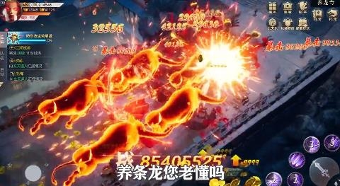 瓊?cè)A仙錄最新版