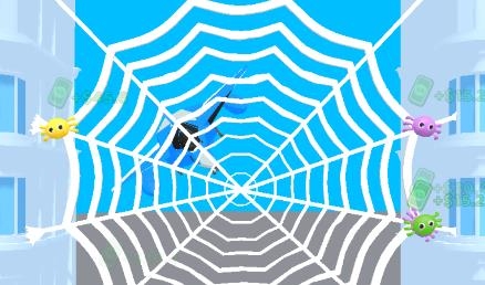 Spider Catch Everything游戲