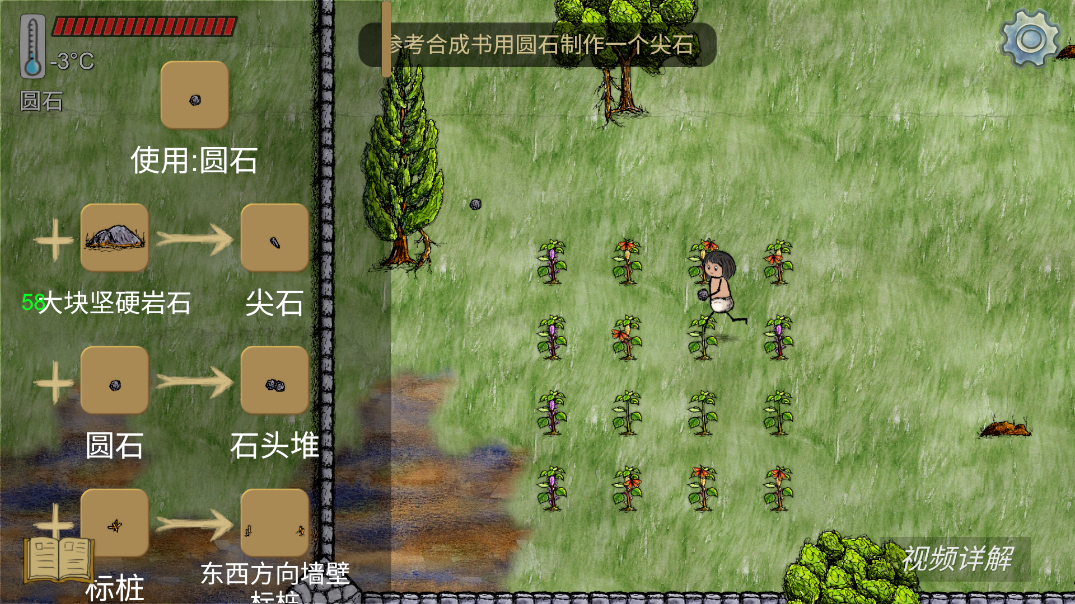華夏人生正版