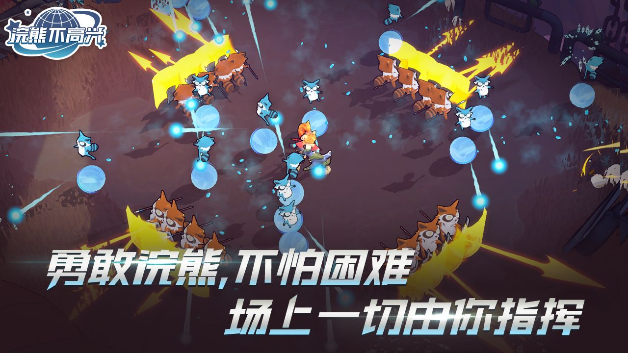 浣熊不高興官方版