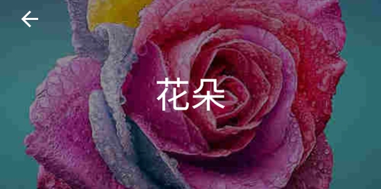 十字繡破解版無限金幣Cross stitch