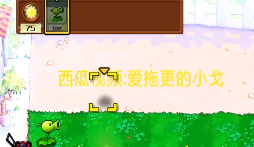 植物大戰(zhàn)僵尸XG版(正常xg)