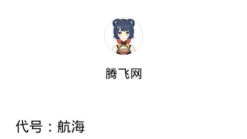 代號(hào)航海游戲手機(jī)版