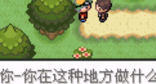 口袋妖怪釉色數(shù)碼2.3金手指