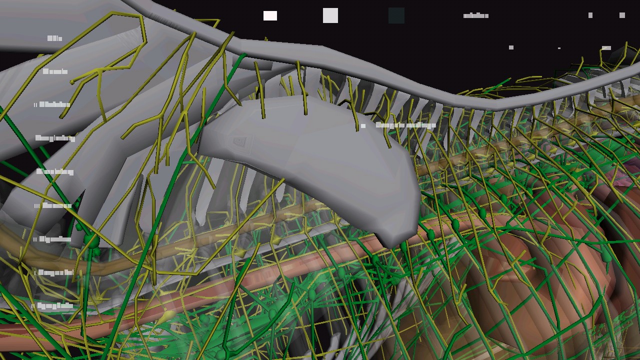 3D馬匹解剖模擬器官方版