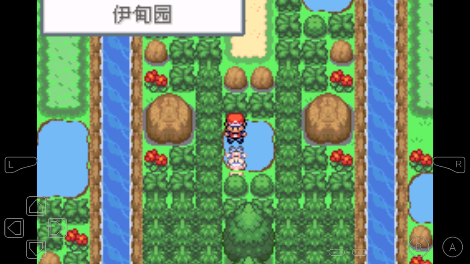 口袋妖怪永恒之焱隨機版