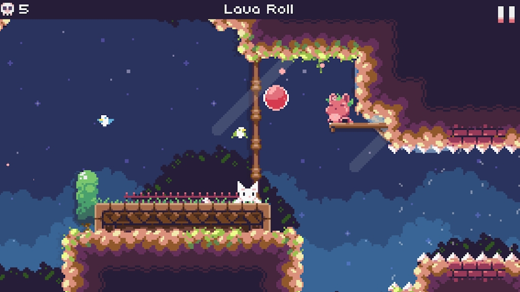 Cat Bird 新版