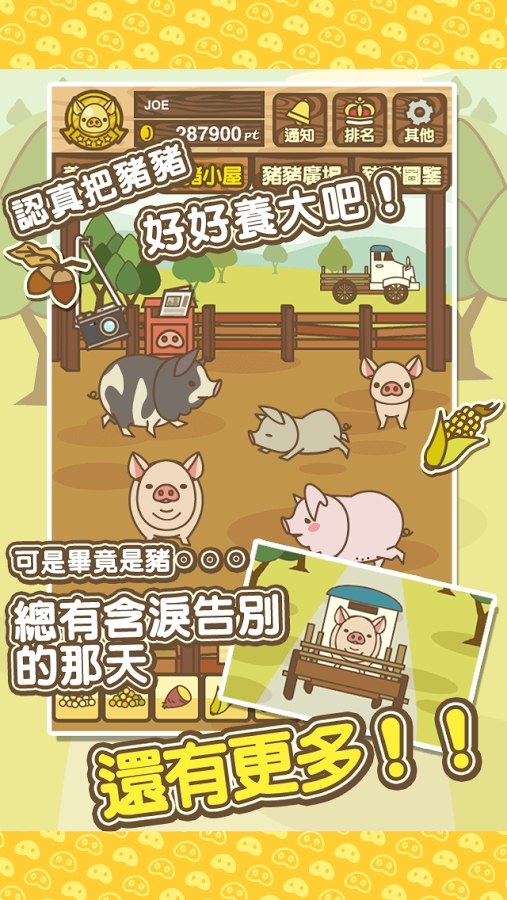 養(yǎng)豬場MIX新版本