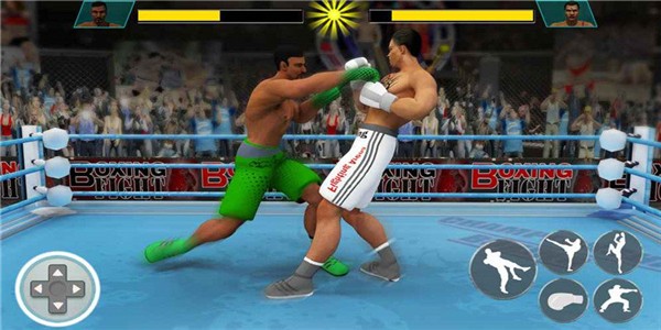 Ninja Punch Boxing Warrior官方版