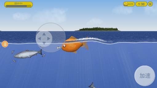 美味海洋鯊魚(yú)版