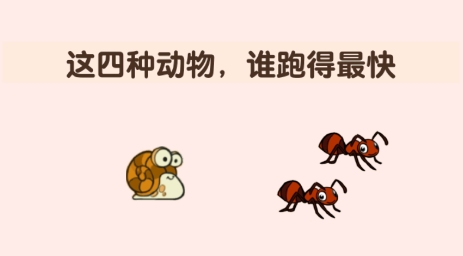 燒腦派對游戲最新版