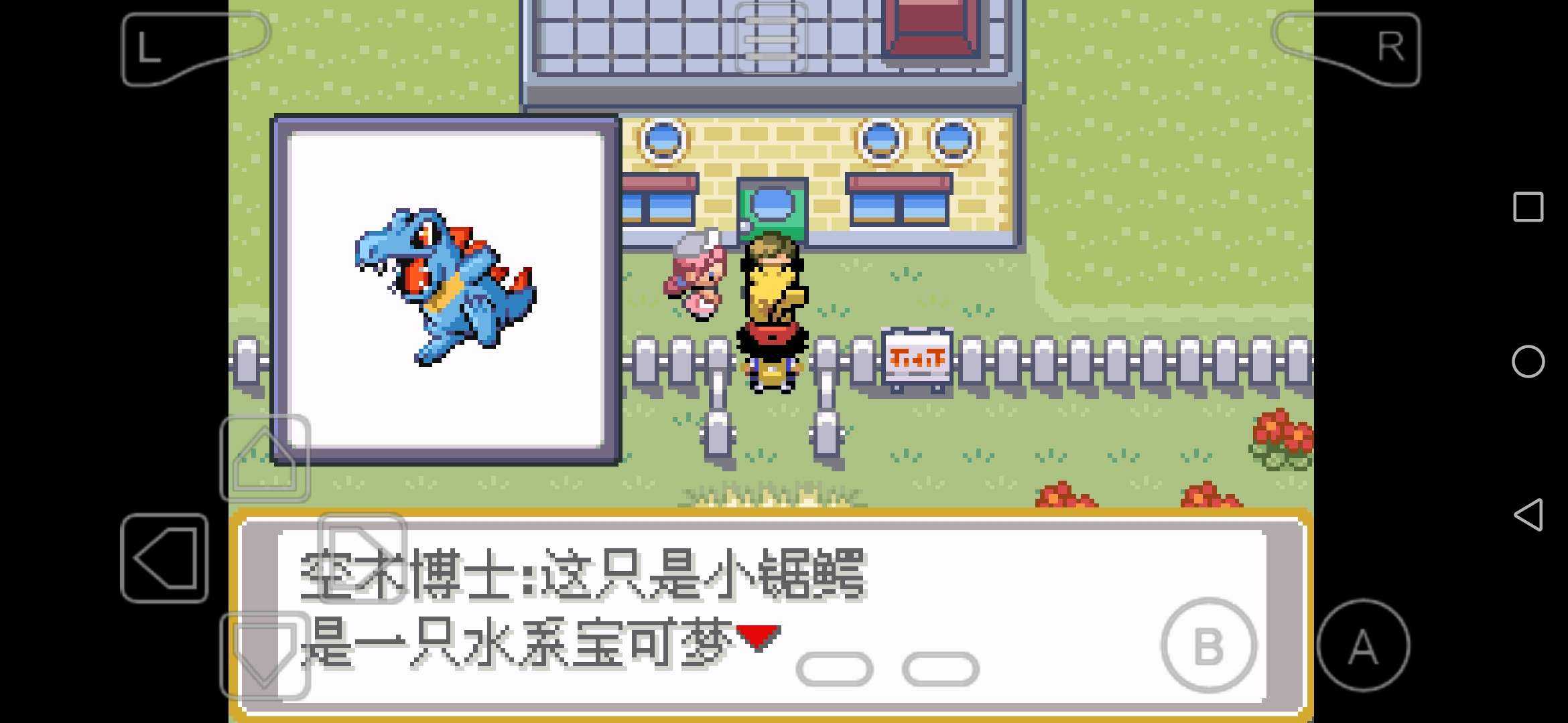 口袋妖怪小智城都冒險：最初的結束作弊版