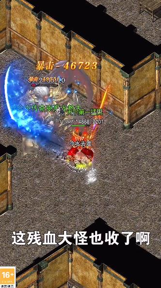 玄蒼單職業(yè)正版版