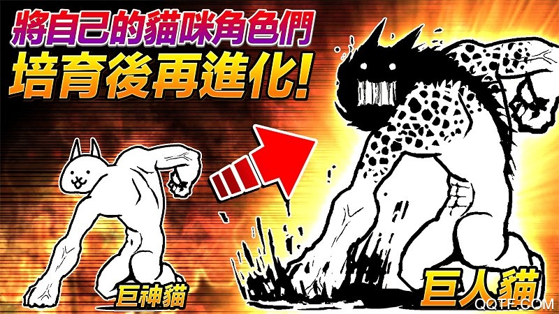貓咪大戰(zhàn)爭終極版