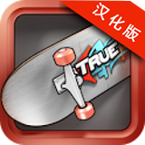 真實滑板2中文版 v1.3.2版本