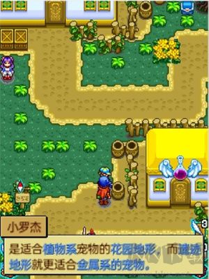 寵物王國(guó)4白金上帝版