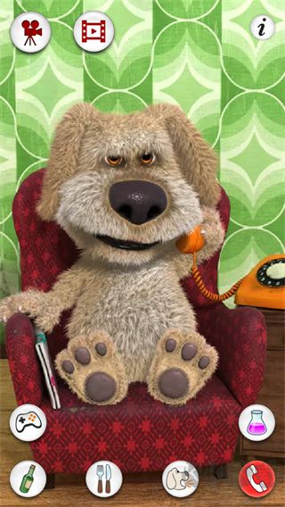 會說話的狗狗本新手攻略4