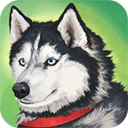 美國(guó)ZOOM動(dòng)物 v1.0.3中文版