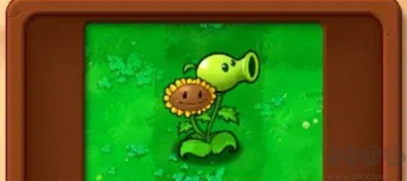 基礎(chǔ)植物圖鑒介紹截圖1