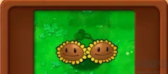 基礎(chǔ)植物圖鑒介紹截圖3