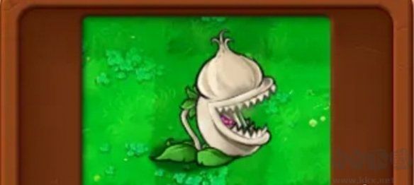 基礎(chǔ)植物圖鑒介紹截圖7