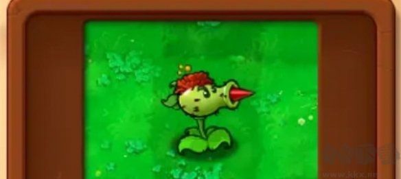 基礎(chǔ)植物圖鑒介紹截圖8