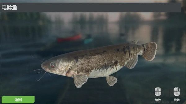 終極釣魚模擬器無(wú)限金幣版游戲攻略5