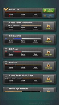 職業(yè)臺球3球