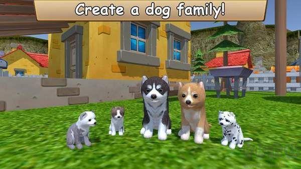 美國(guó)ZOOM動(dòng)物 v1.0.3中文版