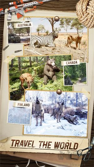 狩獵狙擊手3D國際服 v1.0.4