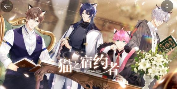 貓之宿約者游戲最新版