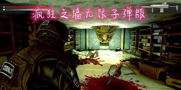 瘋狂之墻無限子彈版
