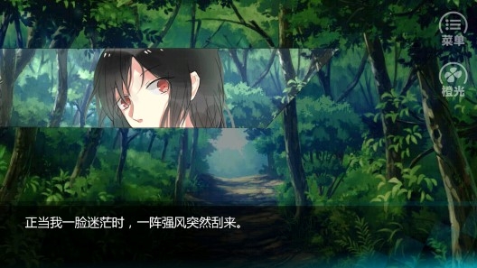 迷霧空城破解版完整版