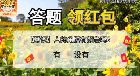 我是答題王紅包版