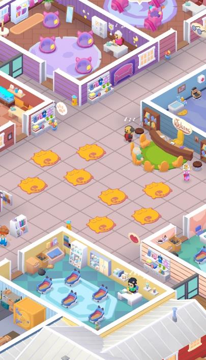 國(guó)際貓咪收容所