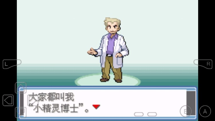 口袋妖怪永恒之炎漢化版