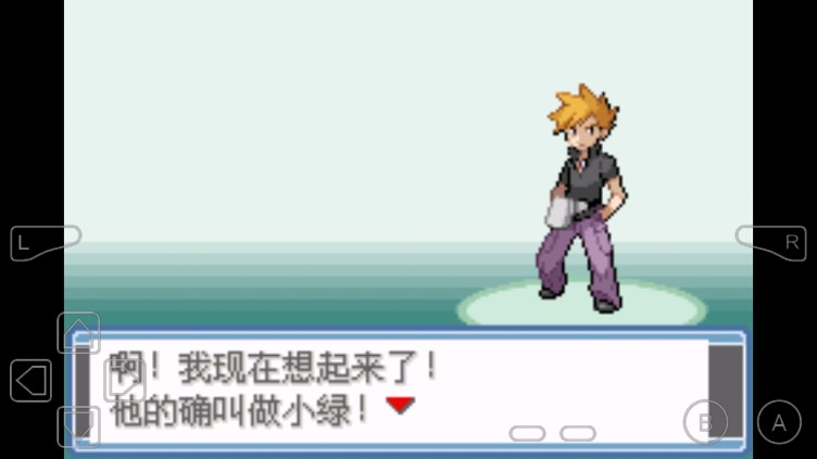 口袋妖怪永恒之炎漢化版