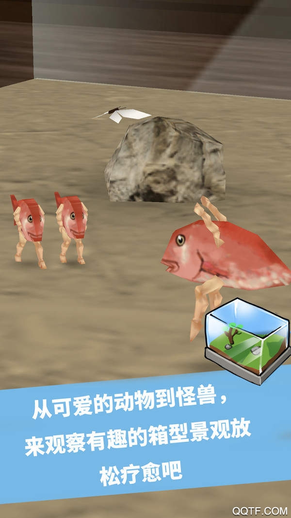 奇幻水族箱正版