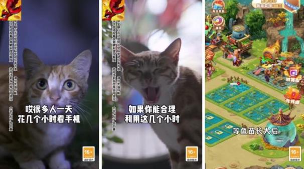 龍蝦養(yǎng)成紅包版