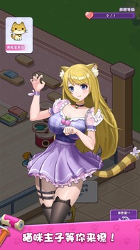 我的貓咪小家新版