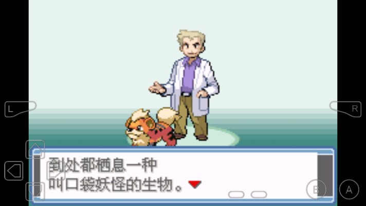 口袋妖怪永恒之焱漢化版下載