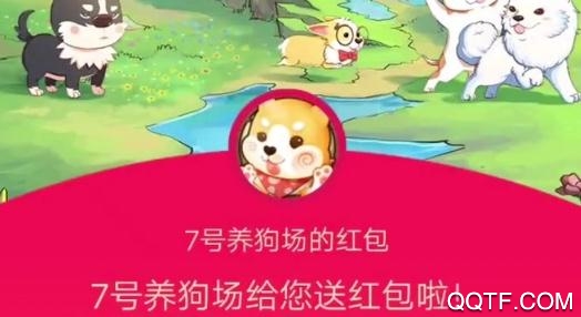 7號養(yǎng)狗場簽到贏手機版