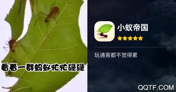 小蟻帝國中文版