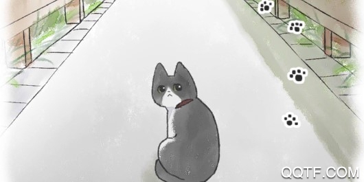 迷途貓中文配音版