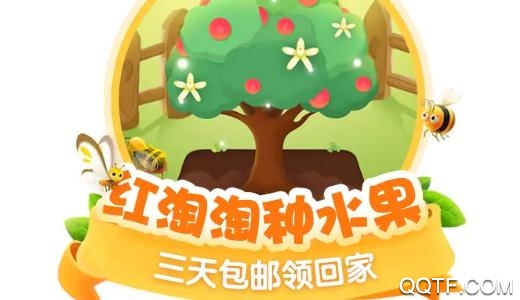 紅淘淘免費送水果版