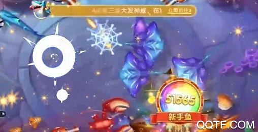 金蟾去哪了2021新版
