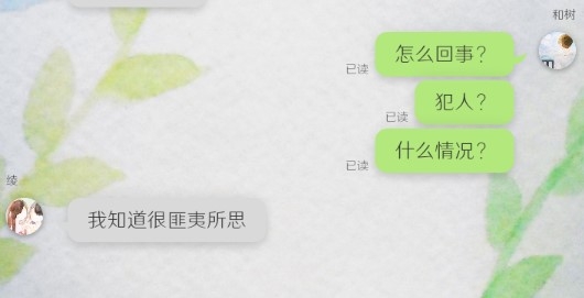 我的女友在被人追趕中文版