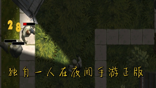 獨(dú)自一人在夜間手游正版