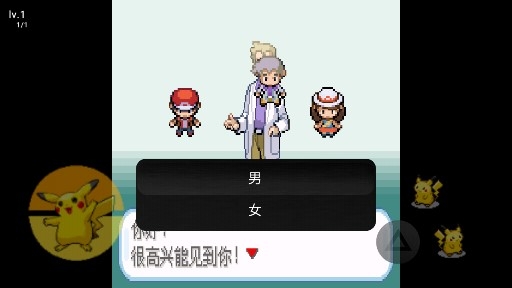 口袋妖怪心靈之紅金手指版