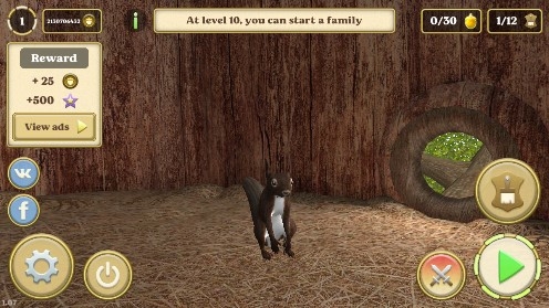 Squirrel Simulator Online松鼠模擬器無限松果版